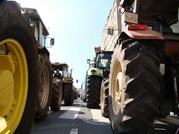 IMAXES TRACTORADA POLAS RÚAS DE COMPOSTELA