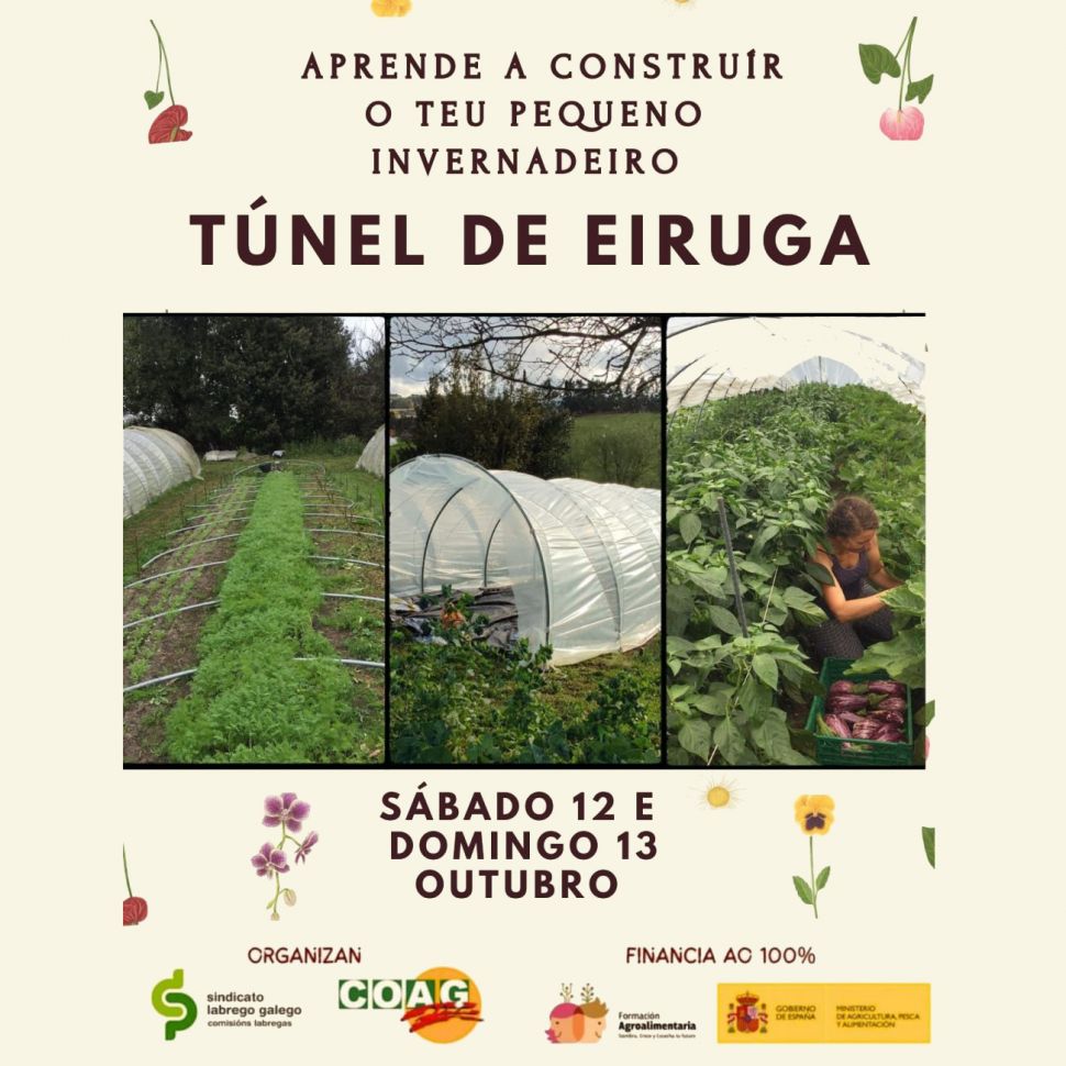 Aprende a construír o teu pequeno invernadoiro (Allariz) 🗓