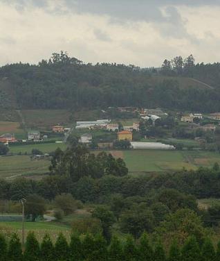 Accións a levar adiante pola Plataforma en defensa das UXFOR, concretadas na xuntanza interna mantida onte.