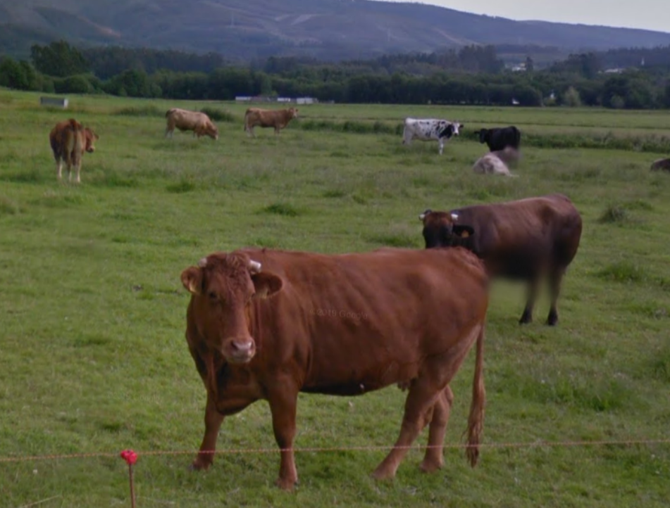 Demandamos que o Consello Científico estatal informe sobre os impactos da macrocentral hidroeléctica Xistral