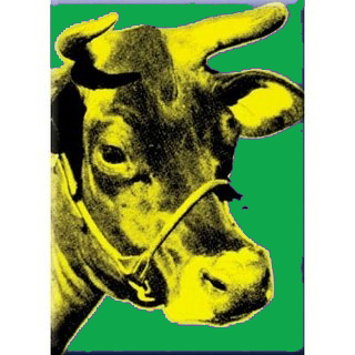 Roldas comarcais sector leiteiro:  MARTES 5 de maio, en  FERROL e VILALBA