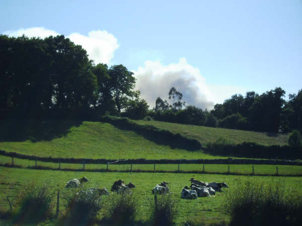 Milleiros de granxas galegas inda non cobraron ningún dos importes da PAC, que a CMR comprometeuse a adiantar en novembro 2023