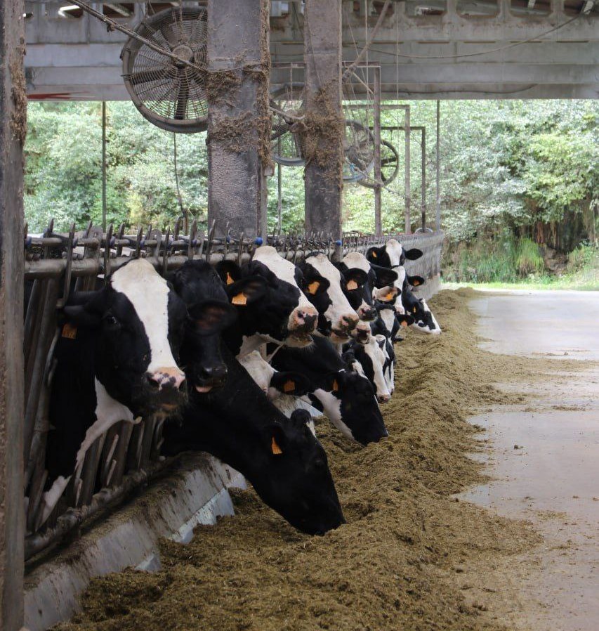 A Audiencia Nacional confirma as infraccións das industrias do Cártel do Leite, así como a maioría das sancións impostas