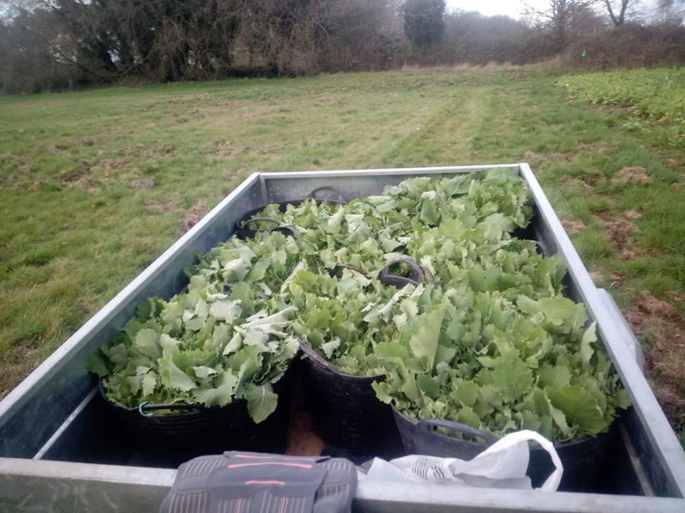 O SLG denuncia  multas durante o estado de alarma por compra directa de alimentos en granxas de proximidade.