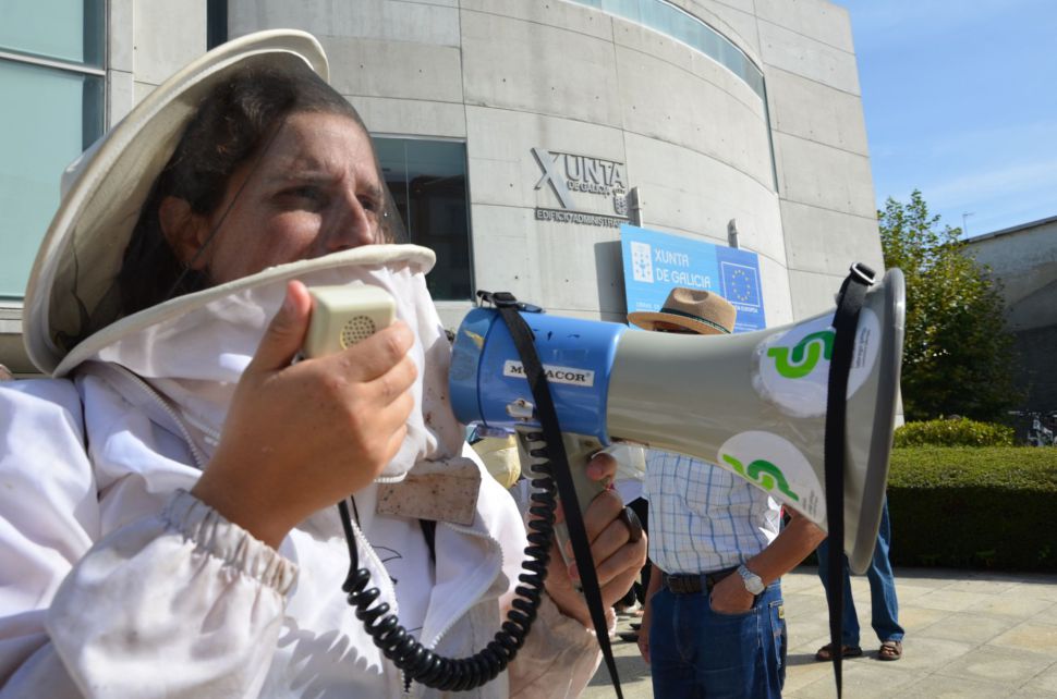 MANIFESTO DA CONCENTRACIÓN CONTRA A VESPA VELUTINA (LUGO)