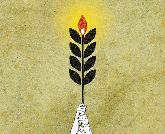 17 de abril, Día Internacional da Loita Labrega: 20 anos defendendo a terra e honrando a vida