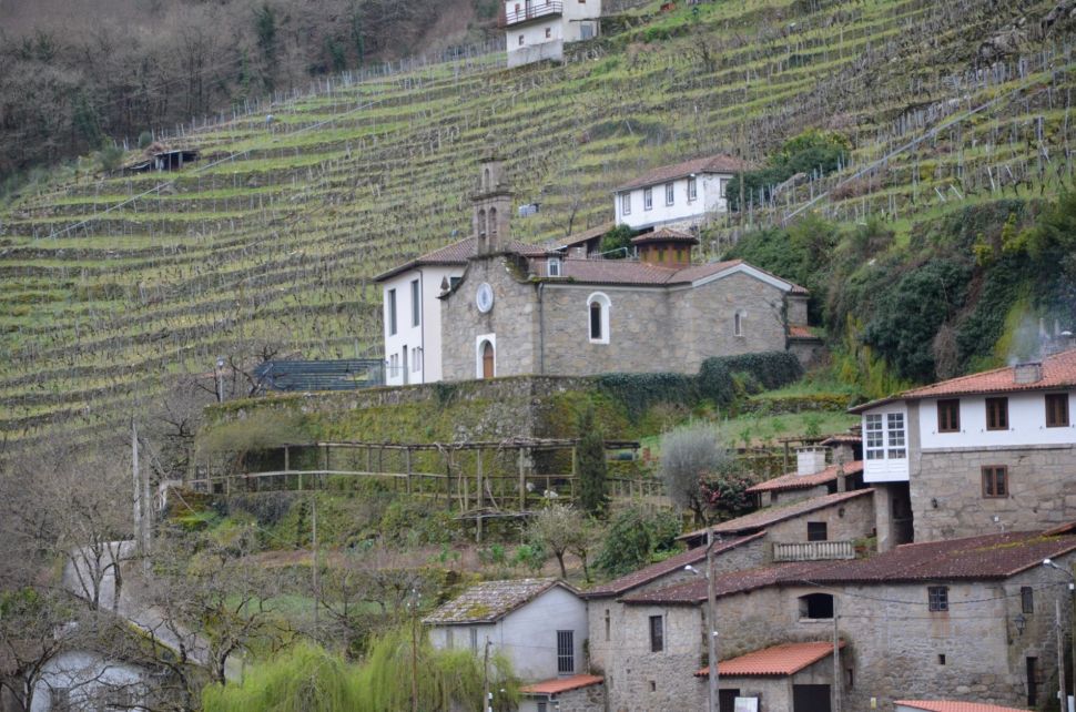 Reiteramos á Consellaría do Medio Rural a pertinencia de convocar unha xuntanza con tódolos sectores para abordar medidas fronte á  crise de excedentes na Ribeira Sacra
