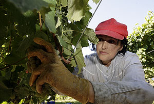 “Labregas polos nosos dereitos”