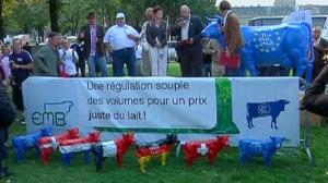 Rolda de Prensa da Coordenadora Europea Vía Campesina (ECVC) Situación da folga do leite  en Europa