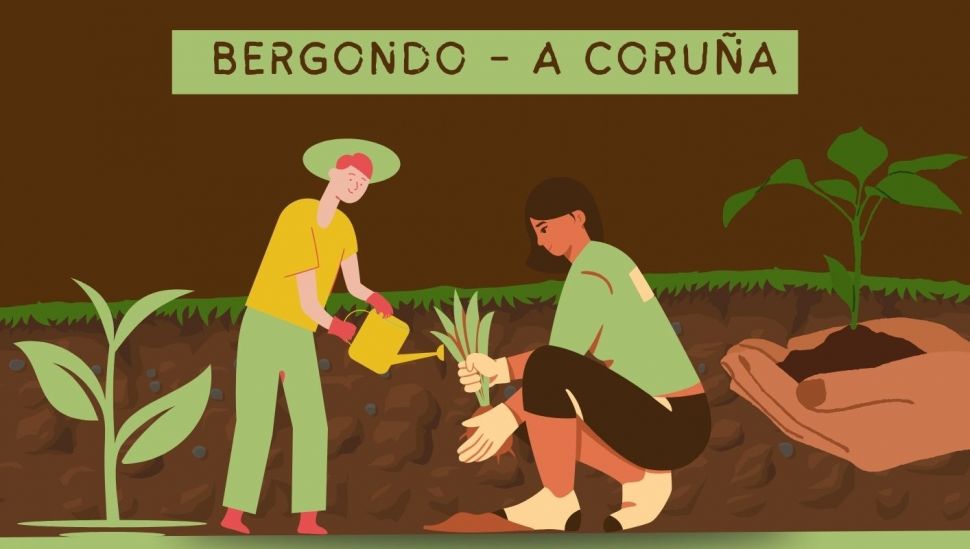Curso en achegas agroecolóxicas para coidar o solo 🗓
