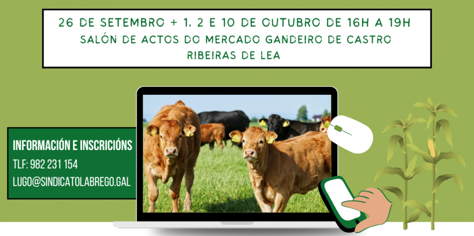 Curso de ferramentas para a dixitalización 🗓