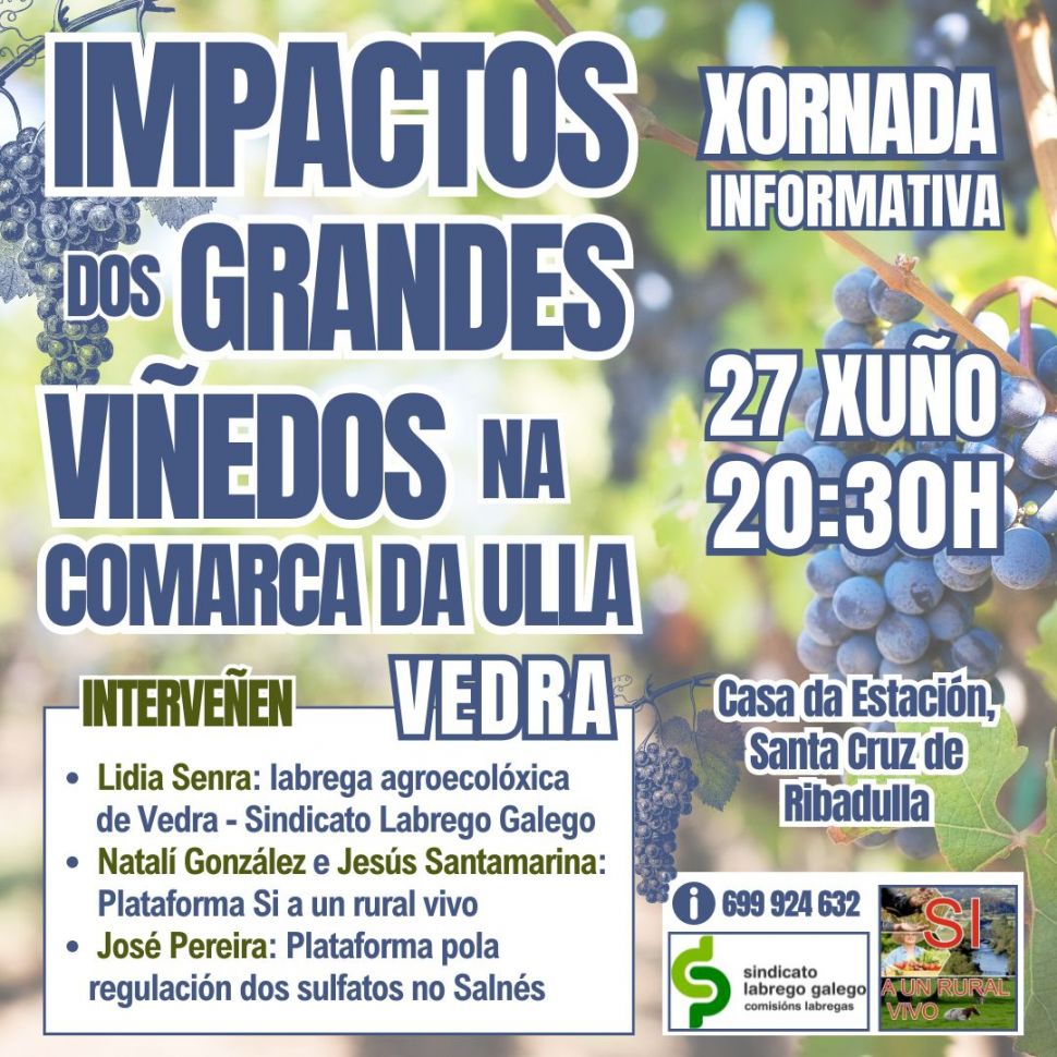 Asamblea informativa sobre os impactos dos grandes viñedos na comarca da Ulla