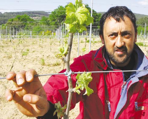 Xurxo Álvarez Pérez, membro da Comisión Executiva do SLG e viticultor