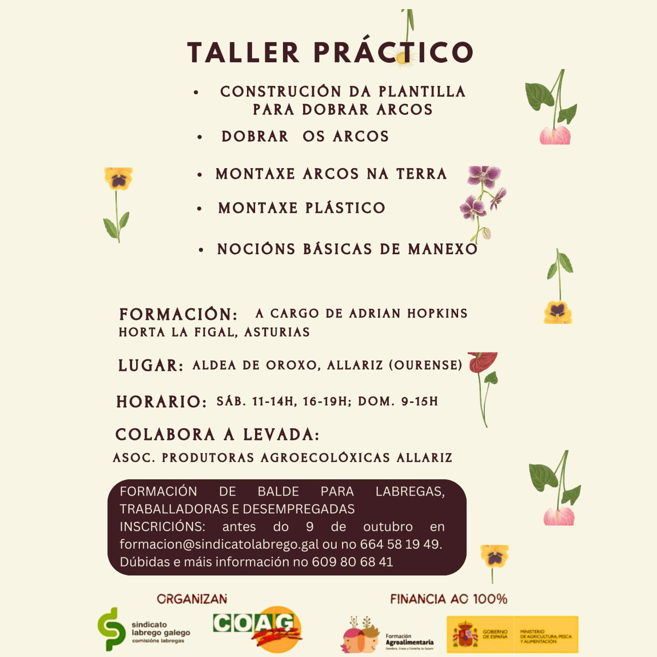 formacion invernadoiro 2