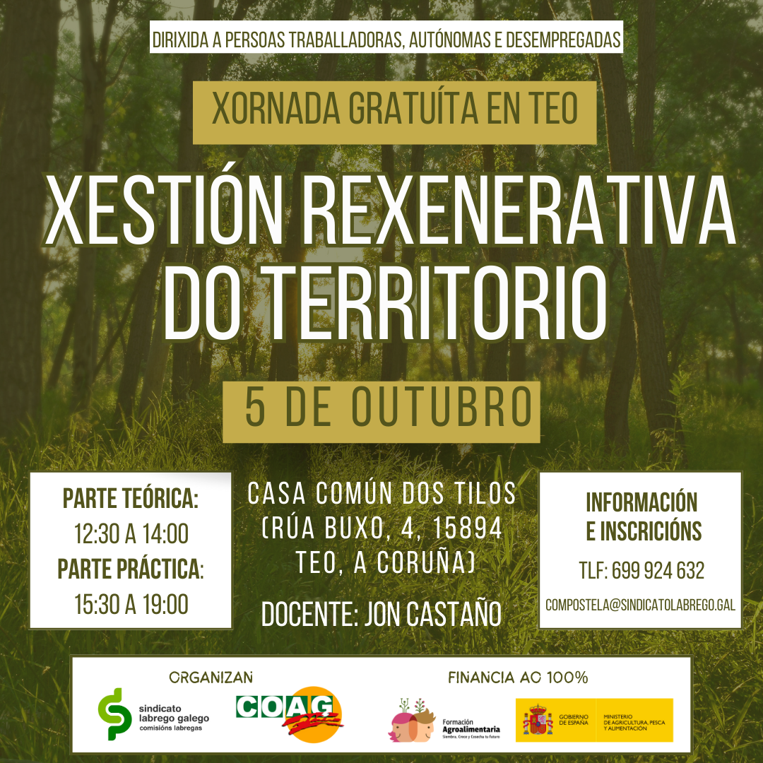 xestion territorio cartaz Teo